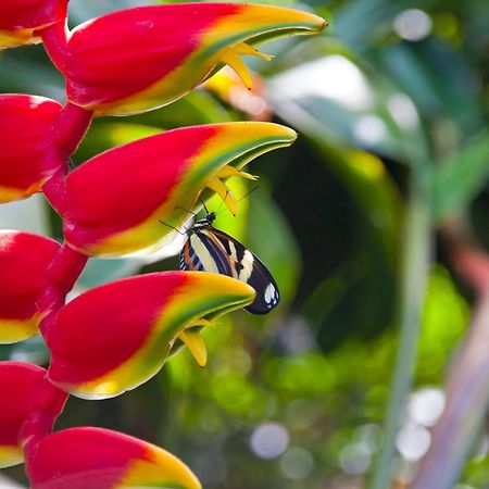 Tierra Guarani Lodge Puerto Iguazú Zewnętrze zdjęcie